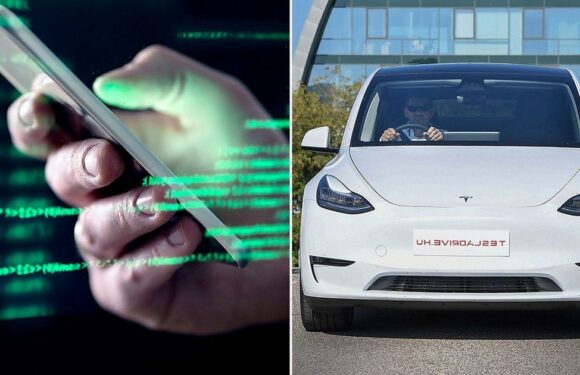 £300 gadget makes it ‘easy’ for thieves to steal Tesla vehicles ‘in seconds’