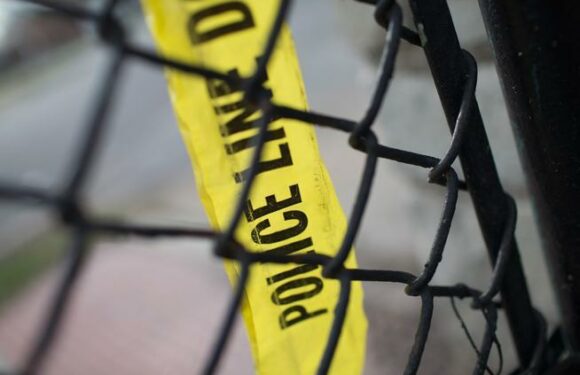 A 12-year-old boy and his 89-year-old grandmother were injured by pit bulls in an attack in Golden.