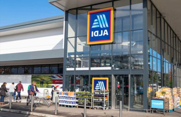 Aldi fans are going wild for the new £25 buy that means they’ll be able to keep the heating off for longer | The Sun