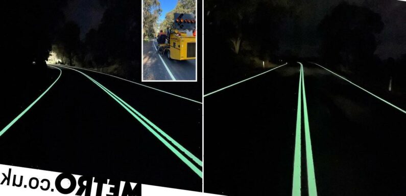 Australia's luminous highway looks like it's straight out of a scene from Tron