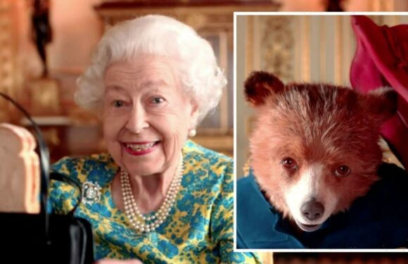 BBC News commentator teased by viewers after Paddington Bear news