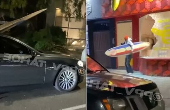 Bizarre video shows thief steal several surfboards from LA shop
