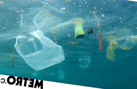 Bold plan to finally clean the Great Pacific Garbage Patch is revealed