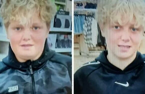 Boy, 14, who disappeared with twin is still missing but brother found