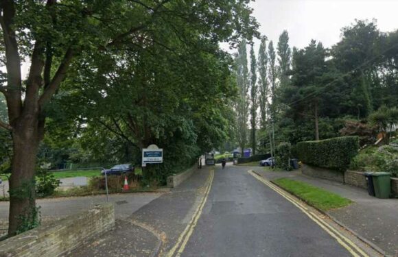 Boy, 15, fighting for life after stabbing outside school as terrified parents rush to collect their children | The Sun