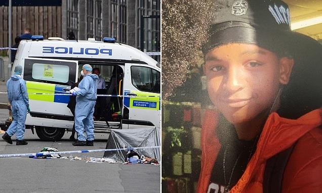 Boy, 16, who filmed himself stabbing 15-year-old schoolboy to death