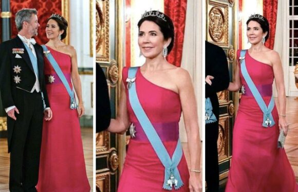 ‘Breathtaking’ Crown Princess Mary rewears fuchsia gown – ‘perfection’
