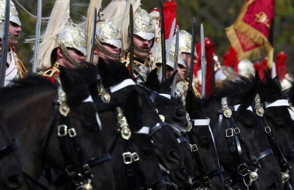 British Army still has more horses than tanks, even though beasts useless in war
