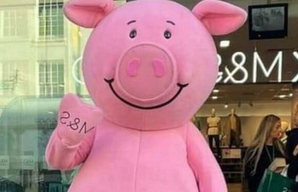 Brits left red-faced at Percy Pig costume that looks ruder than intended