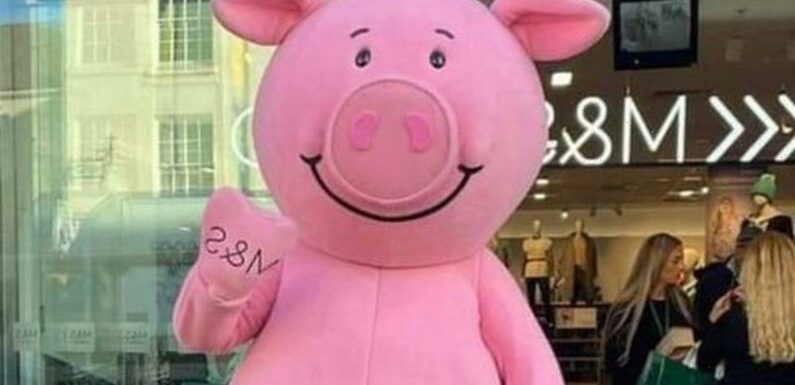 Brits left red-faced at Percy Pig costume that looks ruder than intended