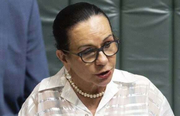 Burney flags overhaul of referendum laws before Voice vote