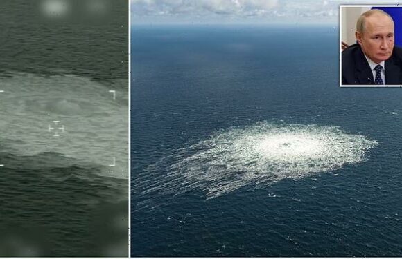 CIA 'warned about attack on Nord Stream pipes WEEKS ago'