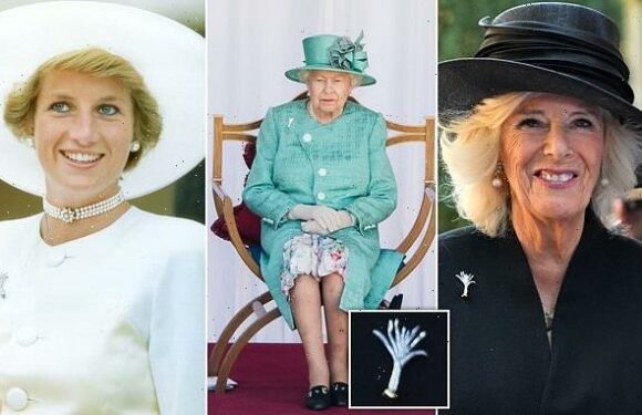 Camilla wears replica of leek brooch worn by Her late Majesty in Wales