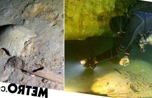 Cave diver discovers 8,000-year-old human skeleton left over from last Ice Age