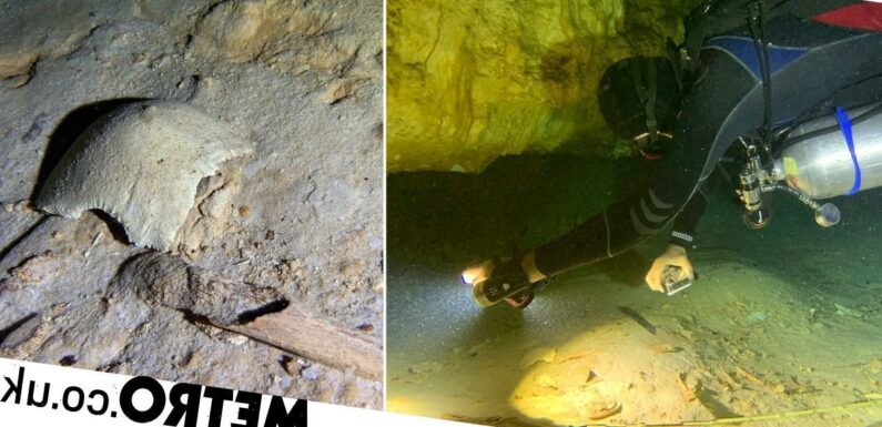 Cave diver discovers 8,000-year-old human skeleton left over from last Ice Age