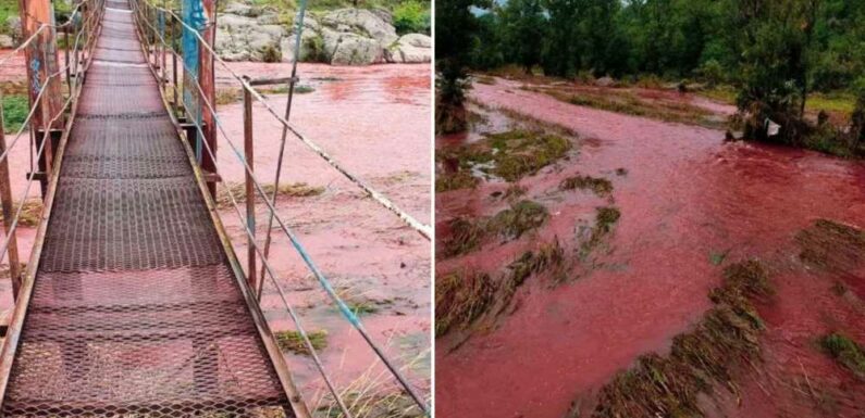 Chilling moment Ukraine river turns blood RED a day after Russia blitzed dam in bid to drown civilians | The Sun