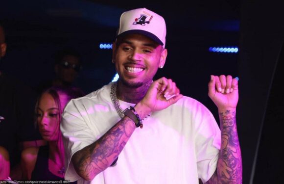 Chris Brown Blames Stalker for Causing Gnarly Car Accident at His Property