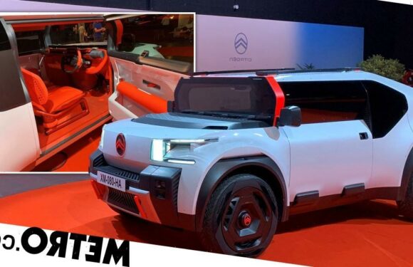 Citroën built a car with cardboard ready for our dystopian future