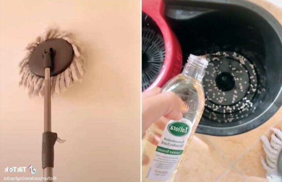 Cleaning fan washes her walls with Zoflora to get the house smelling nice – but everyone's saying the same thing | The Sun