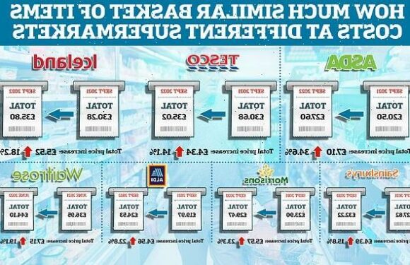 Cost of living crisis sees an 'apocalyptic' rise in household staples