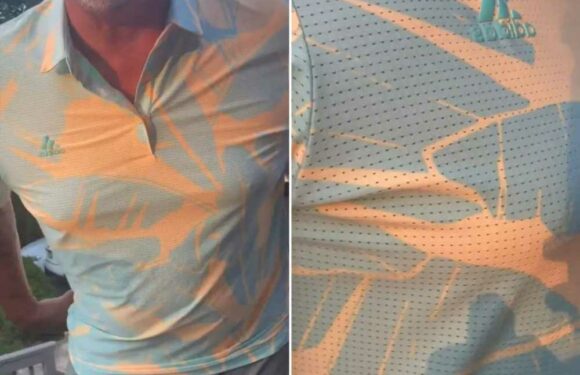 Couple spark furious debate over what colour his T-shirt is – and it’s reminding everyone of THAT dress | The Sun