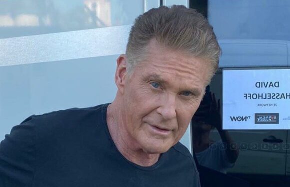 David Hasselhoff Defends His ‘Heathy’ Ego