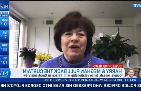 Deranged royal biographer Angela Levin cried Karen tears when she got pushback