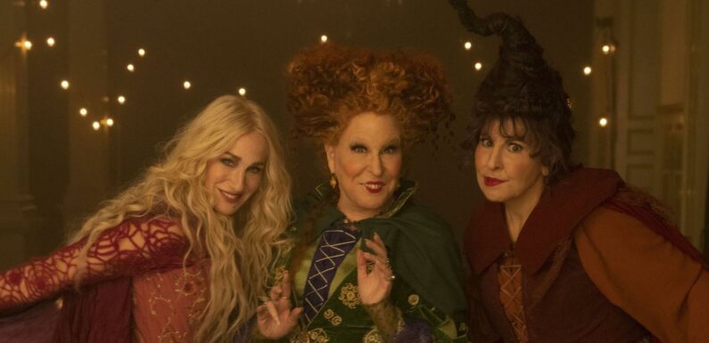 Did You Know These Facts About the Original Hocus Pocus??