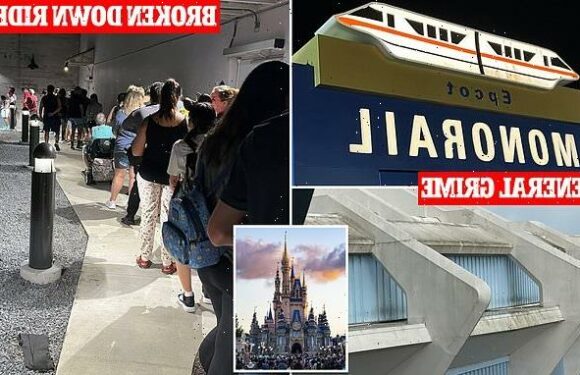 Disney fans moan Orlando resort filled with broken-down faulty rides