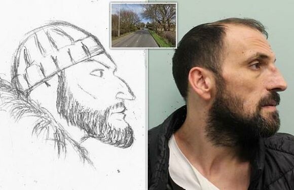 Driver, 44, who killed man, 20, jailed after SKETCH identified him