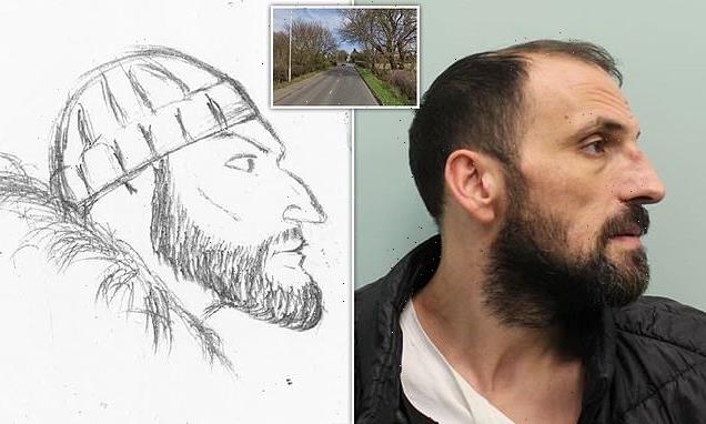 Driver, 44, who killed man, 20, jailed after SKETCH identified him