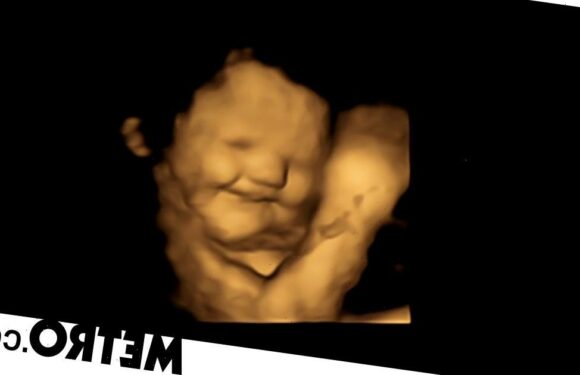 Eating carrots during pregnancy makes babies happy, finds study