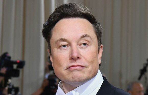 Elon Musk humiliated as blaze at Tesla factory sparks German calls to scrap it