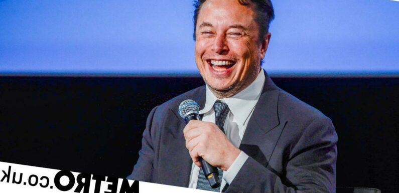 Elon Musk's private texts about buying Twitter have been revealed
