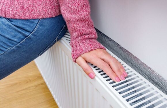 Expert on how to fix a radiator thats hot at top and cold at bottom