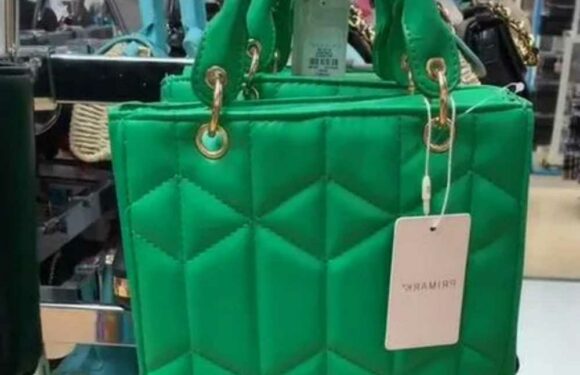 Fashion fans go wild for Lady Dior bag dupe – and it costs just £9 | The Sun