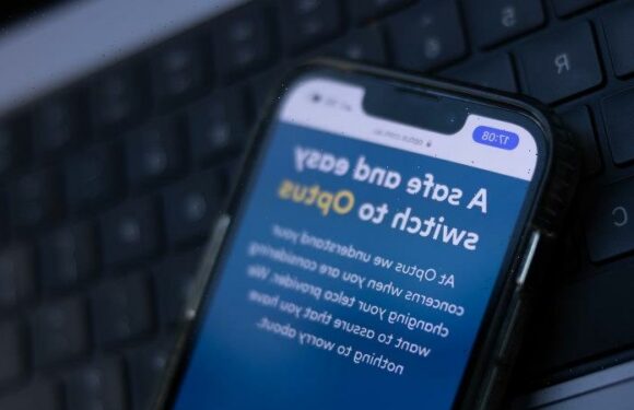 Federal government examining new Medicare numbers for people affected by Optus breach