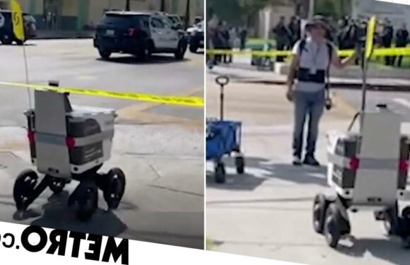 Food delivery robot barges through crime scene, leaving police confused
