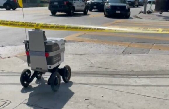 Food delivery robot barges through police shooting crime scene to deliver snacks