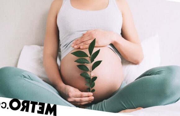 From hand-me-downs to recycled toys, how to give eco-parenting a go