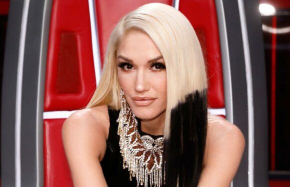 Gwen Stefani fans beg ‘stop messing with your face’ as new clip sparks concern