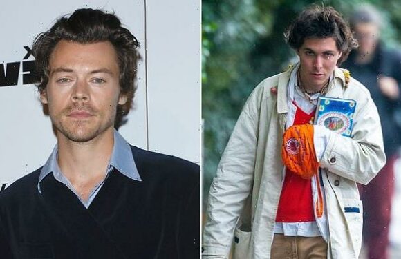 Harry Styles 'constantly on his guard' after stalker broke into home