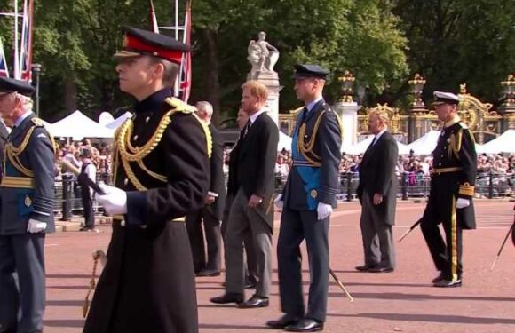 Harry & Wills walk side-by-side behind Queen's coffin in procession | The Sun