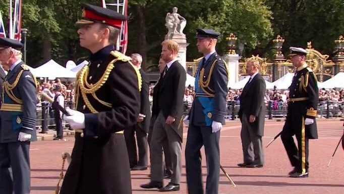 Harry & Wills walk side-by-side behind Queen's coffin in procession | The Sun