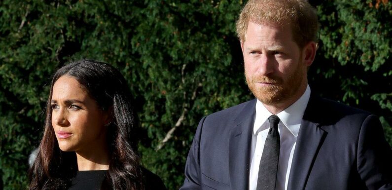 Harry and Meghan to leave UK as soon as they can after weeks away from kids