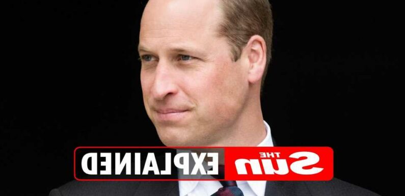 How old is Prince William and how many children does he have? – The Sun | The Sun