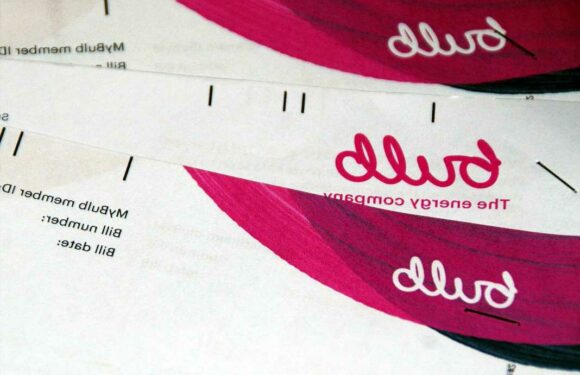 How one million Bulb Energy customers will be paid £400 energy bill rebate | The Sun