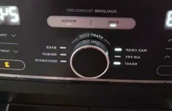 I bought a special gadget for my Air Fryer & it’s a game-changer, I can do a massive meal for the whole family at once | The Sun