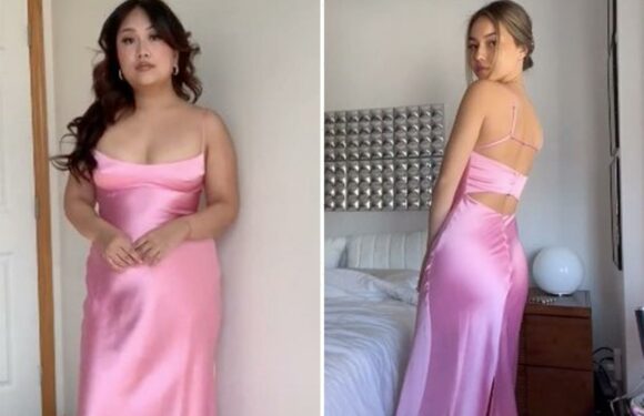 I bought the famous $60 pink Zara dress that everyone is obsessed with – it will look great on any body type | The Sun