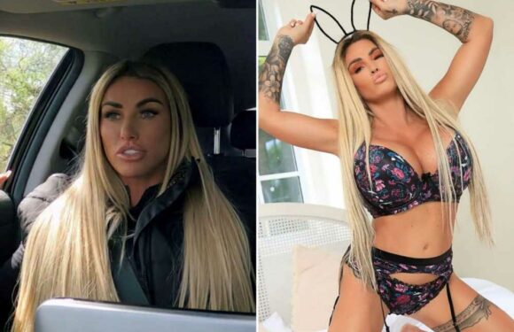 I got so much free surgery I looked like Daffy Duck with huge lips – I regret it, says Katie Price | The Sun